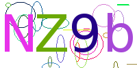 验证码
